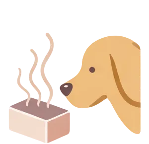 An illustration of a dog sniffing a smell