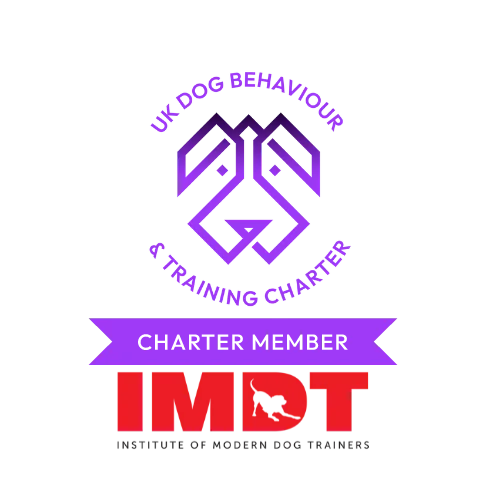 IMDT Charter Member accreditation badge
